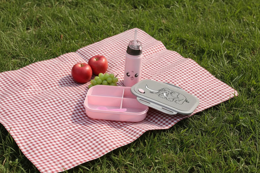 Kids Elephant Bento Lunch Box Set